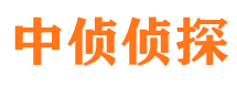 莲湖侦探公司